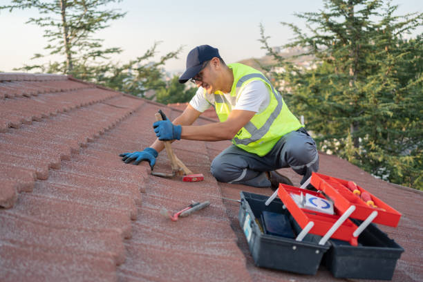 Best Local Roofing Companies  in Saco, ME